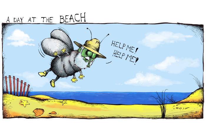 Dan's day at the beach cartoon by Mickey Paraskevas