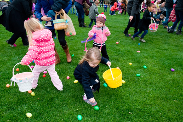 Snatch those Easter eggs!