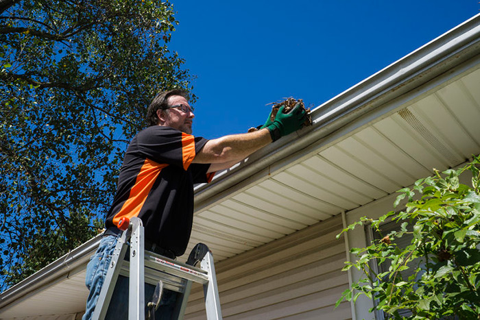 Fall gutter cleanup