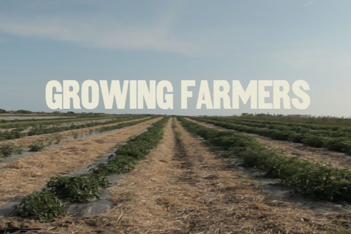 Growing Farmers