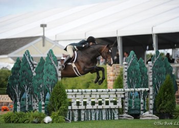 Hampton Classic horse jumper