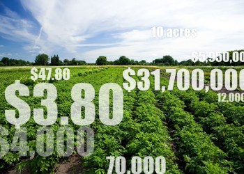 Hamptons Real Estate By the Numbers July 2017