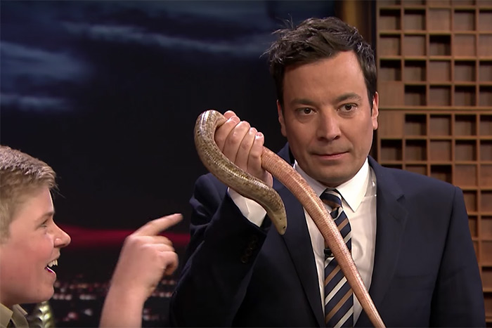 Jimmy Fallon with Robert Irwin and a legless lizard on The Tonight Show