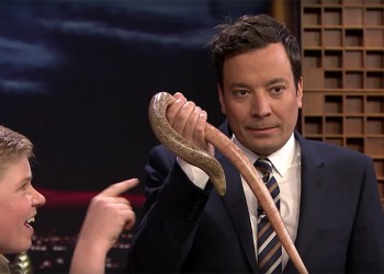Jimmy Fallon with Robert Irwin and a legless lizard on The Tonight Show