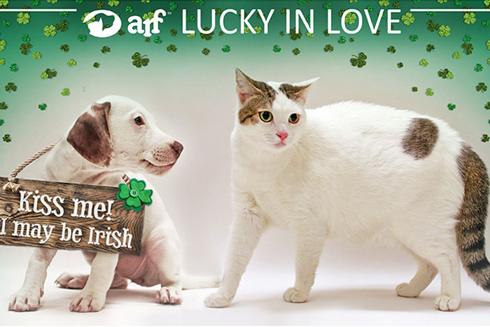 ARF's Lucky in Love event