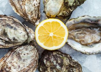 Enjoy oysters and more at Shell It Out Hamptons