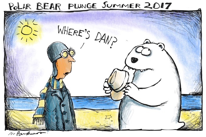Polar bear plunge cartoon by Mickey Paraskevas
