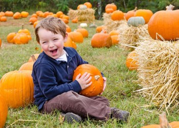 Pumpkin picking kid