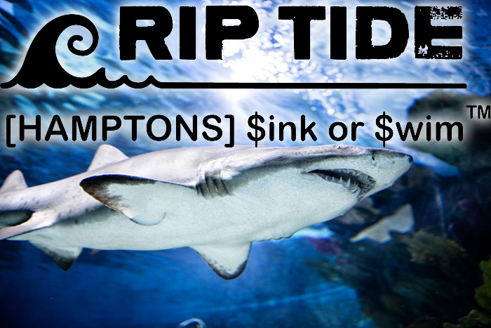 Riptide $ink or $wim: Brave the Hamptons shark tank