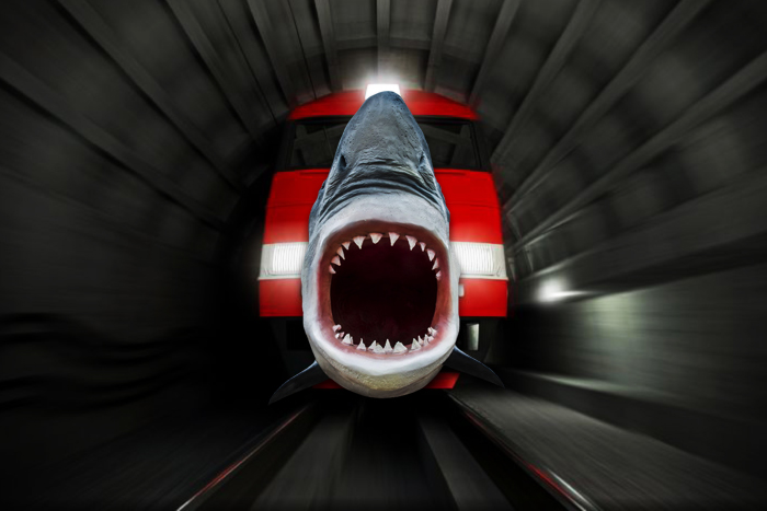 Hamptons Subway shark car
