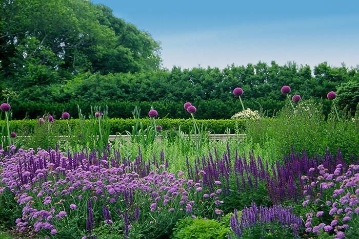 Spring garden Unlimited Earth Care