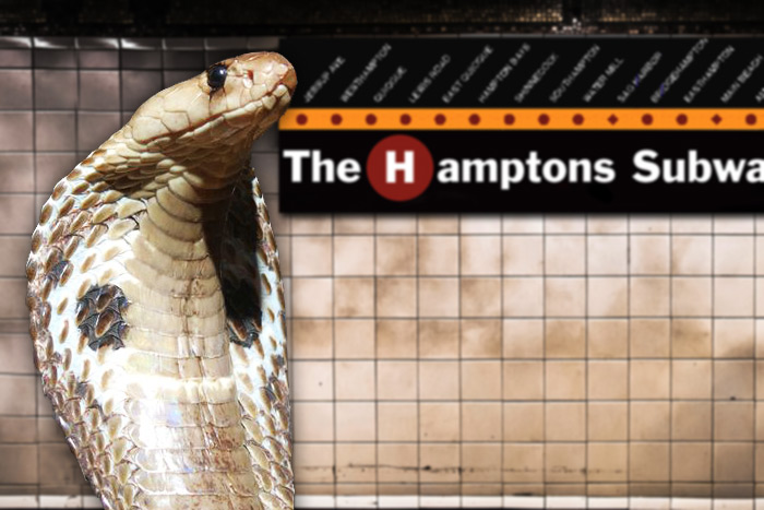 Hamptons Subway cobra