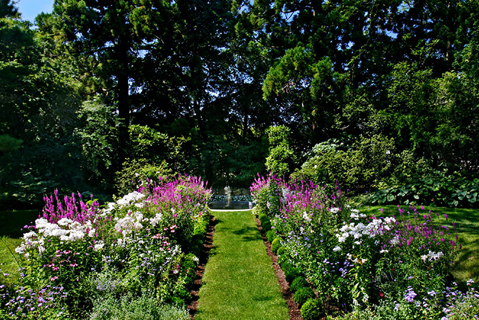 Garden and photo by Unlimited Earth Care