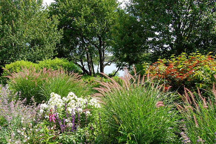 Landscape by Unlimited Earth Care