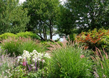 Landscape by Unlimited Earth Care