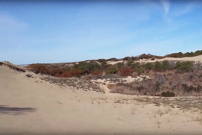 Walking Dunes