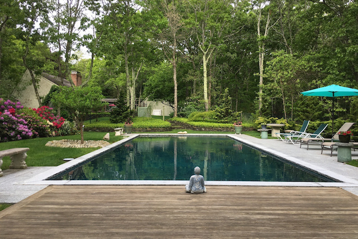 Courtesy Behind the Hedges