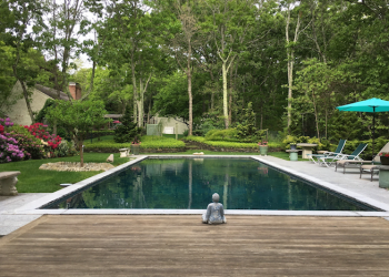 Courtesy Behind the Hedges