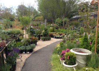 Lynch's Garden Center.