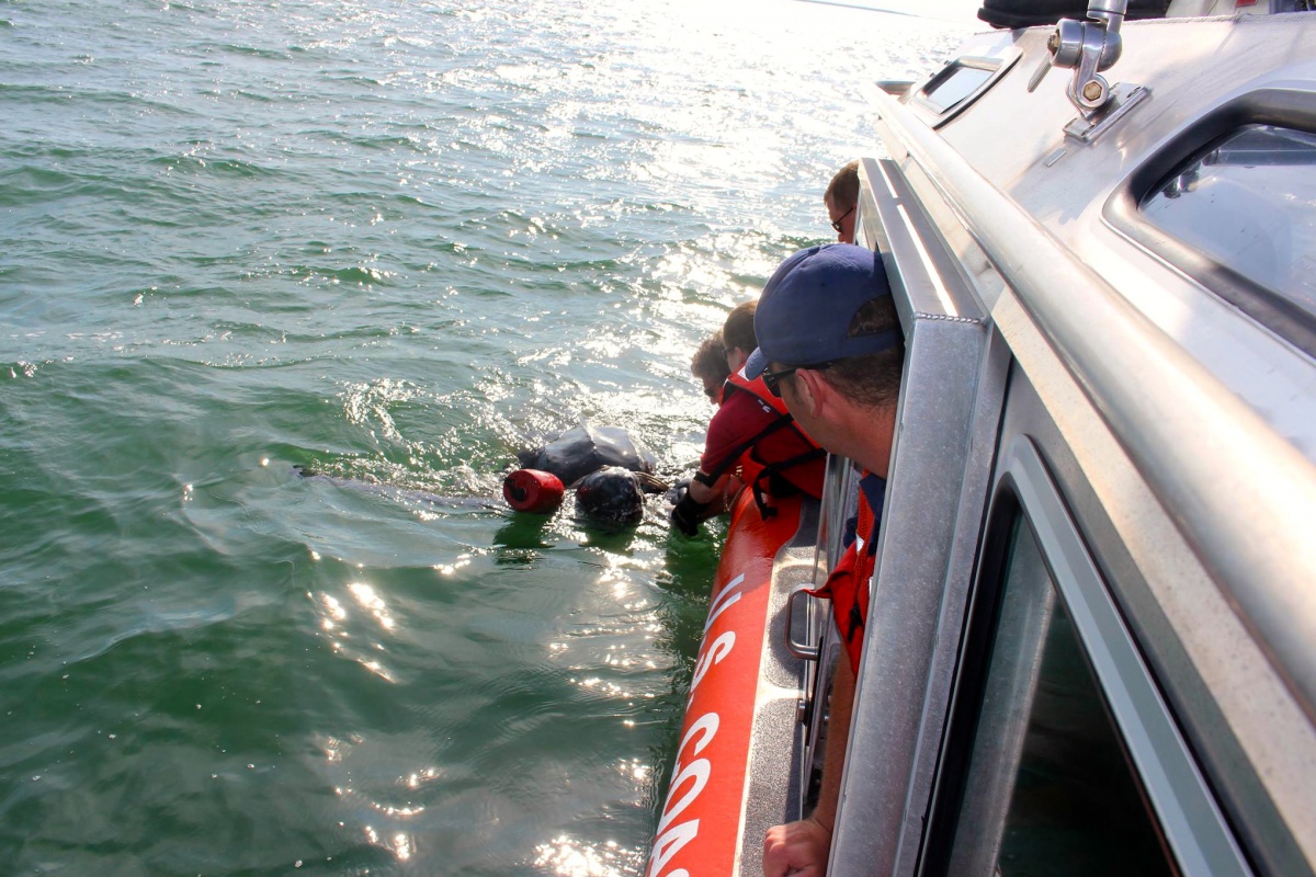 The Riverhead Foundation and the U.S. Coast Guard rescue an entangled leatherback sea turtle.