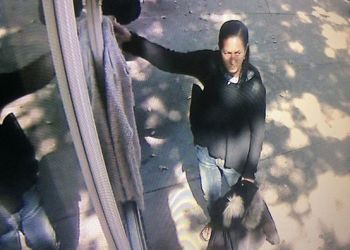 Alleged shoplifter at Flying Point on the Harbor.