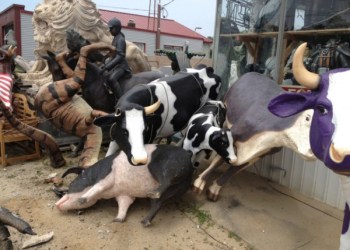 YesterdaysTreasuresCrash-21