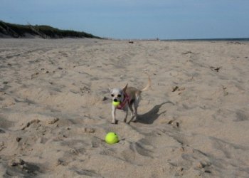 6212_108008838659_2480707_n