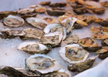 oyster oysters