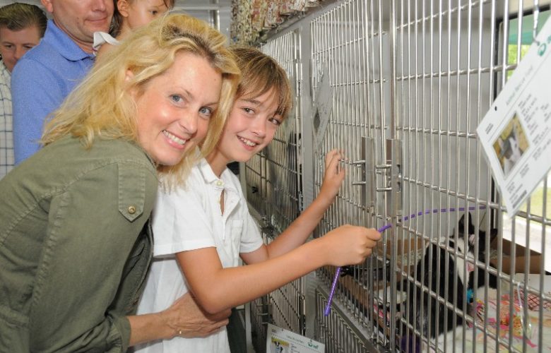 Ali Wentworth and Will Lawrence wanted to take all of ARF's animals home