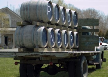 Vino Noir pinot noir vineyards