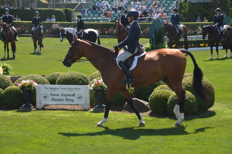 Opening day at Hampton Classic Horse Show.