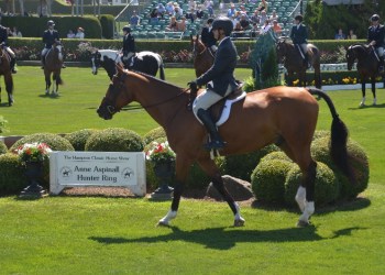 Opening day at Hampton Classic Horse Show.