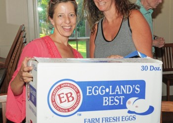 box-art-c.-richard-lewin-6