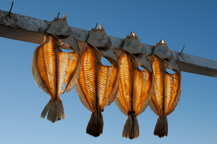 summer flounder fluke