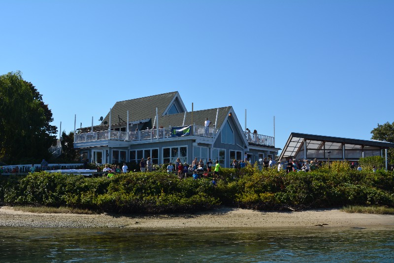 Cowfish in Hampton Bays.