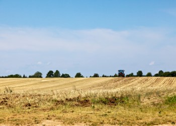 Farm Tractor in the Field
