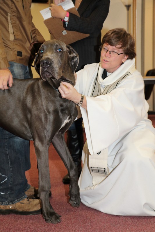 Jeffery of Water Mill brings his dog Fathom to get blessed.