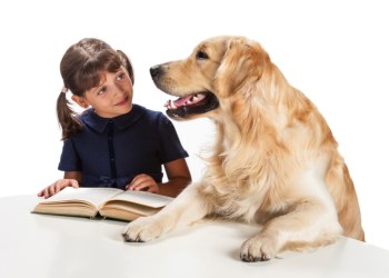 PAWS TO READ AT AMAGANSETT FREE LIBRARY.