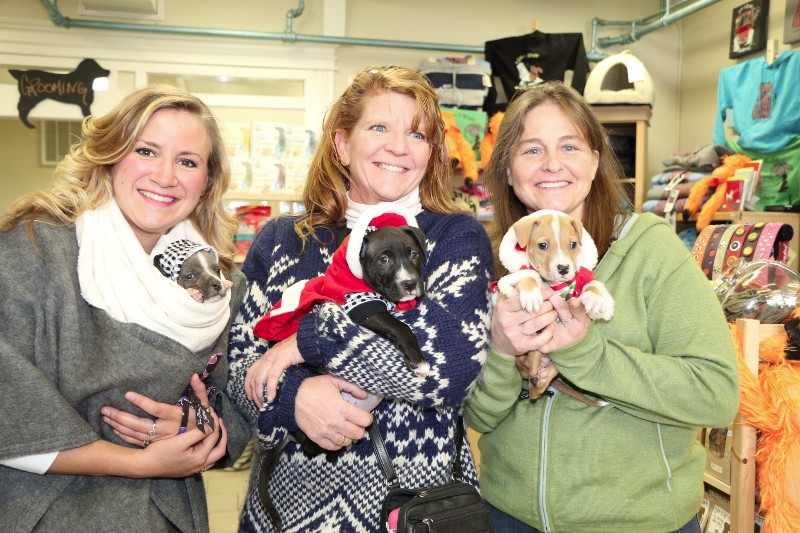 NFAWL volunteer Grace holds Hooite, NFAWL executive director Gillian Pultz holds Ralphy, and Kim Loper, owner of Harbor Pet, holds Cricket.