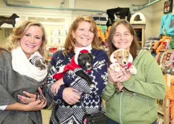NFAWL volunteer Grace holds Hooite, NFAWL executive director Gillian Pultz holds Ralphy, and Kim Loper, owner of Harbor Pet, holds Cricket.  