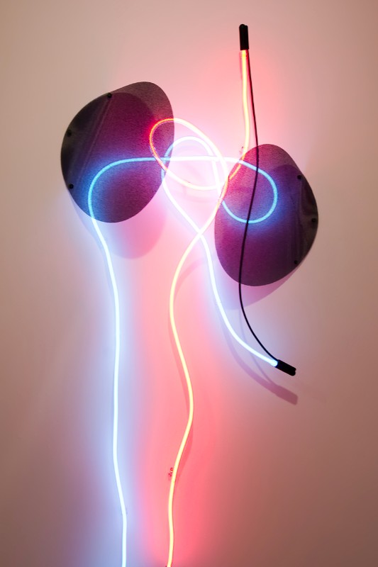 Keith Sonnier, a sculptor who began working in neon in1968 exhibited this piece, "Ebo River" for the 10th Annual Thanksgiving Collective exhibition Attitudes