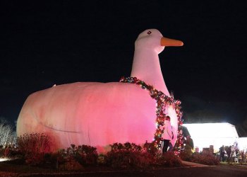 The Flanders Big Duck, decorated and lighted for the holidays.