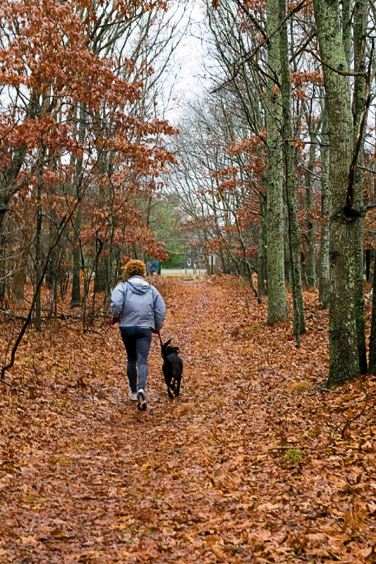 This woman and her dog were out for a little morning frolic on the newly extended Hamlet To Hamlet trail at Mashashimuet Park.