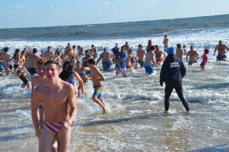 East Hampton Polar Bear Plunge 2015 Dan’s Papers