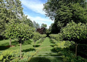 A garden passage at the property of Jane and Michael DeFlorio designed by LaGuardia Design Landscape Architecture.