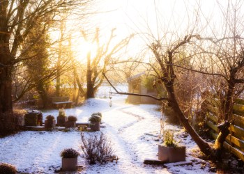 Preparing your garden for winter isn't as much work as it's made out to be.