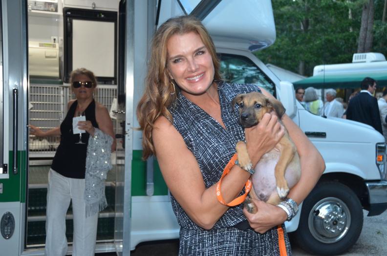 Bow Wow Meow Ball emcee Brooke Shields