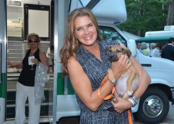 Bow Wow Meow Ball emcee Brooke Shields