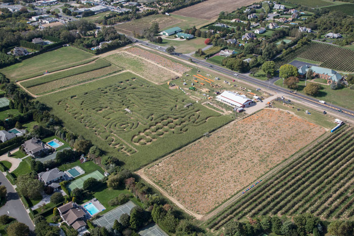 Hank's Pumpkintown. Cully/EEFAS