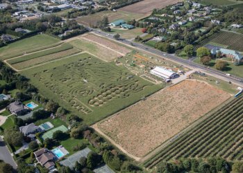 Hank's Pumpkintown. Cully/EEFAS